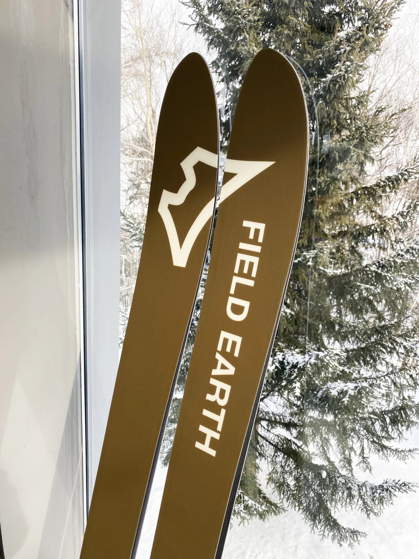 FIELD EARTH公式サイトのM Seriesスキーイメージ