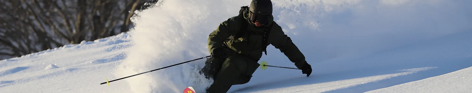 VECTOR GLIDE公式SKISページのスキーイメージ