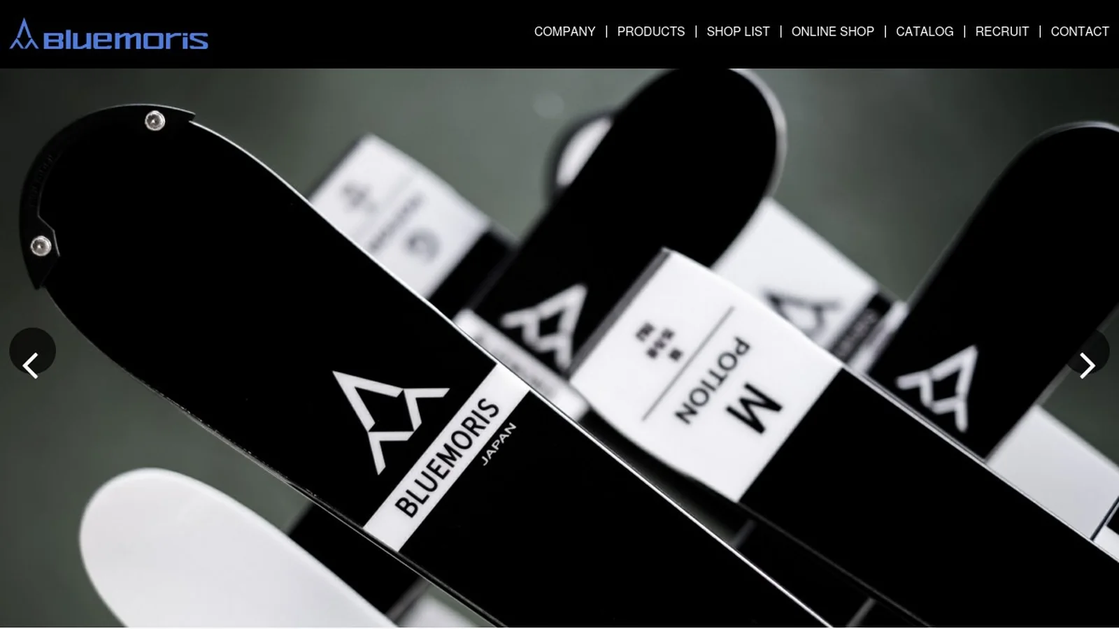 Bluemoris official brand visual