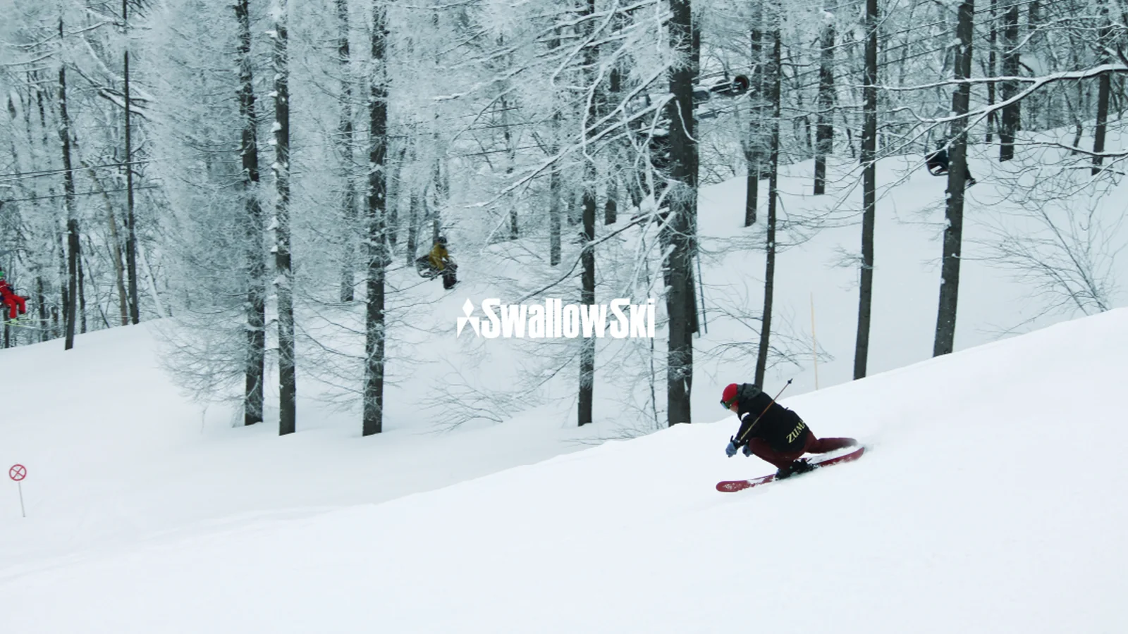 SWALLOW official brand visual