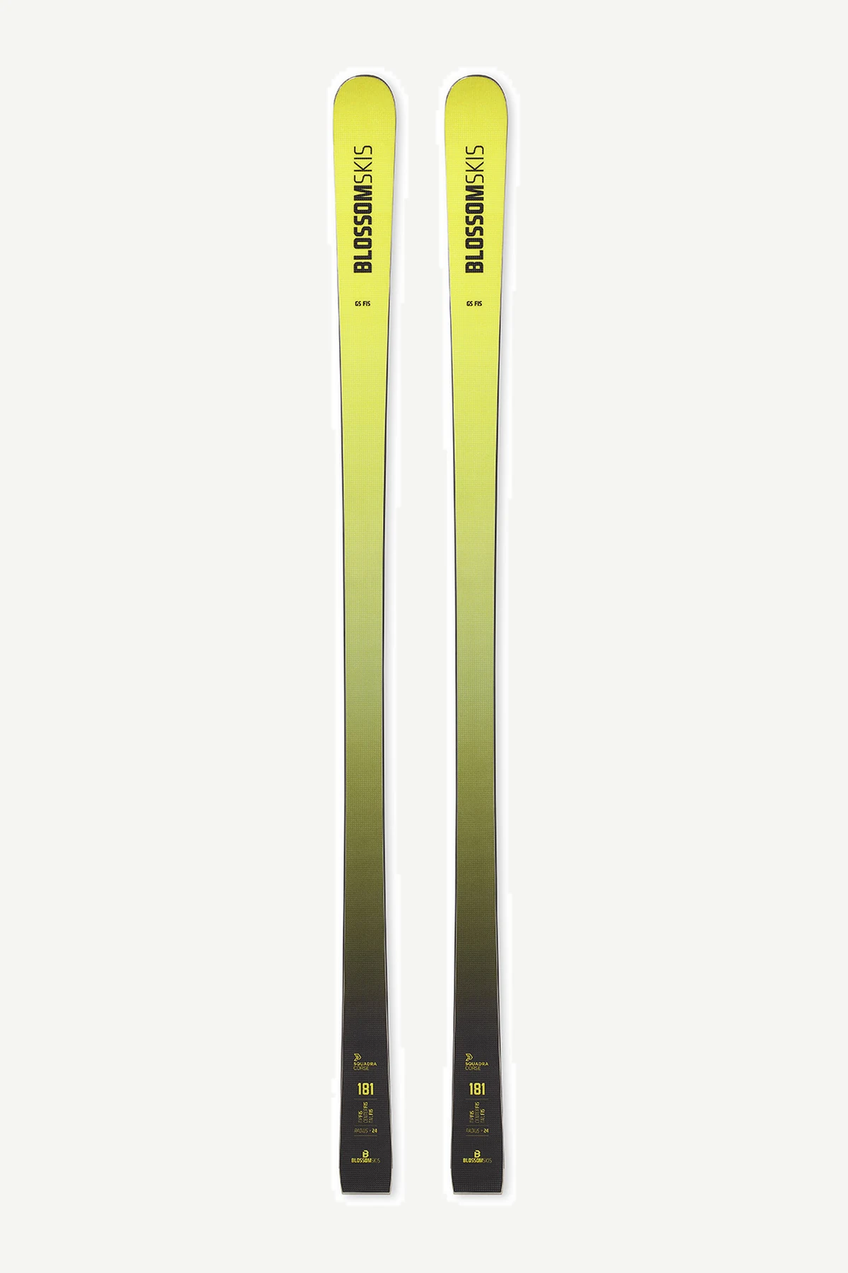 Blossom FIS GS 25/26公式商品画像
