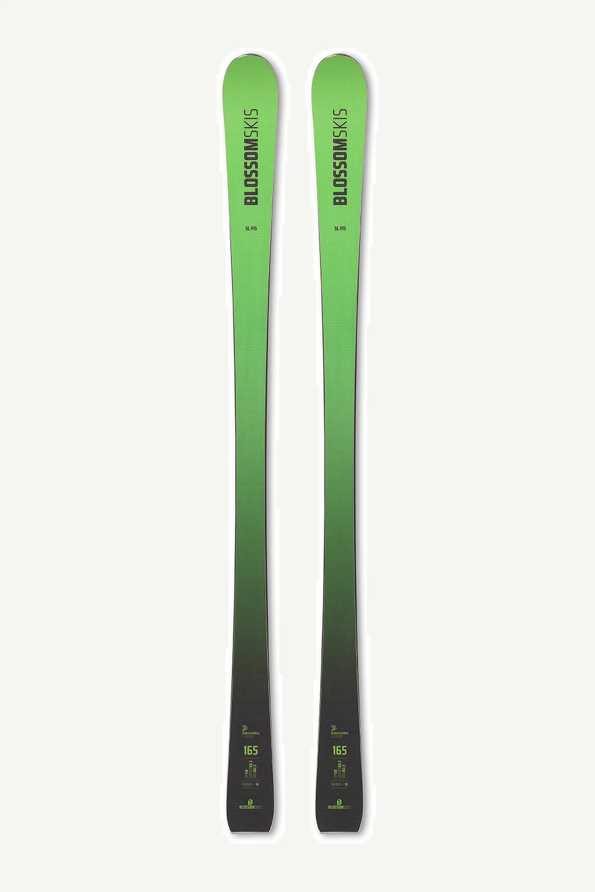 Blossom FIS SL 25/26公式商品画像