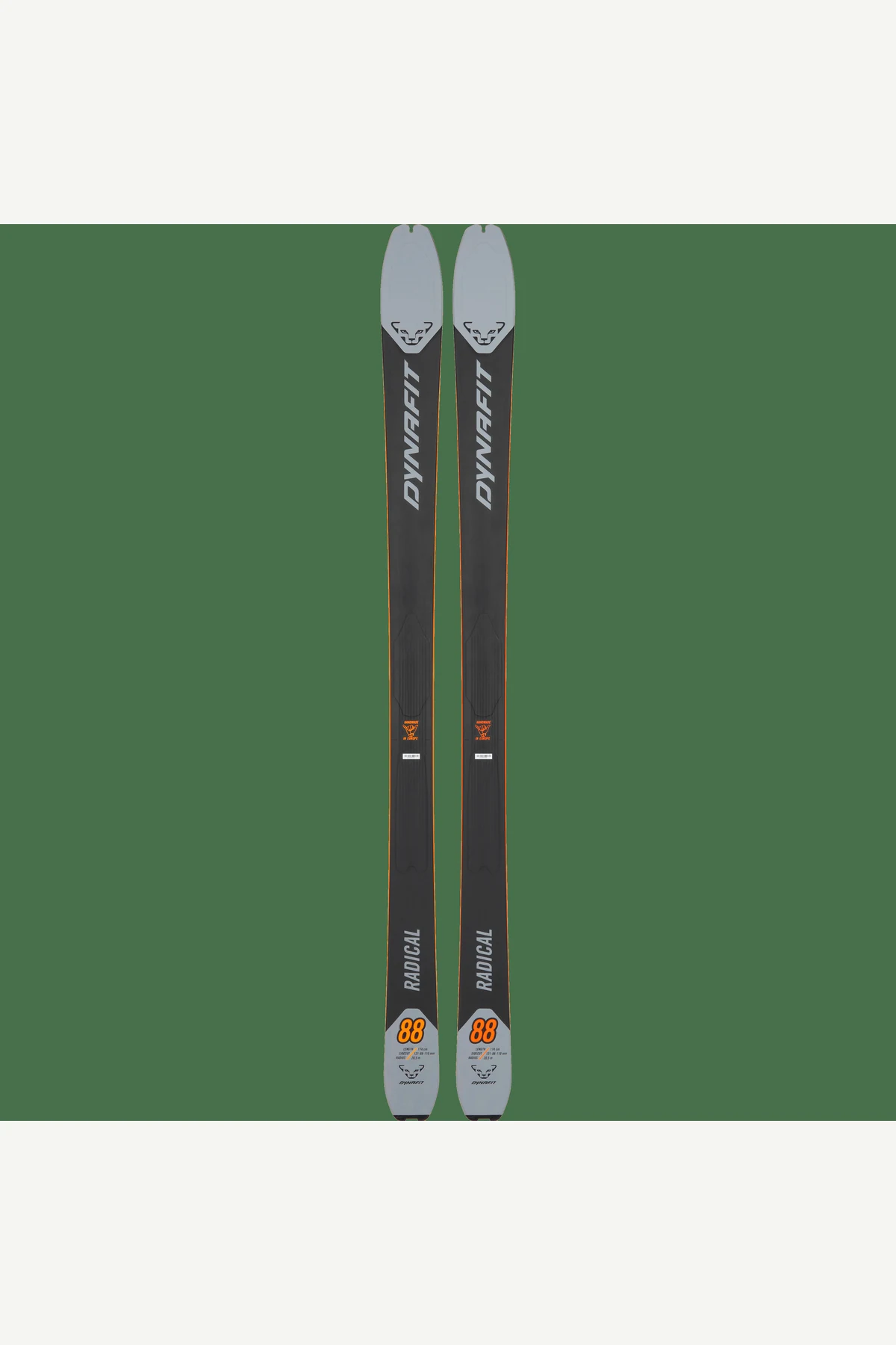 Dynafit Radical 88 Ski Men 25/26公式商品画像