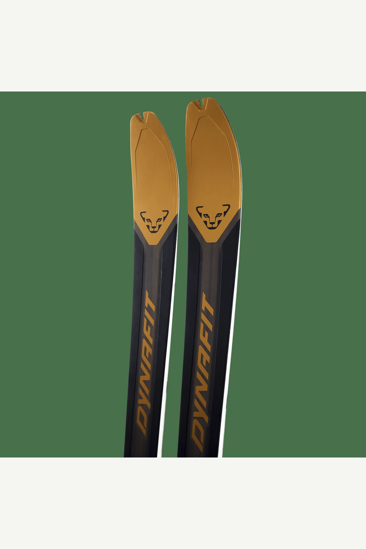 Dynafit Ridge 95 Ski 25/26公式商品画像