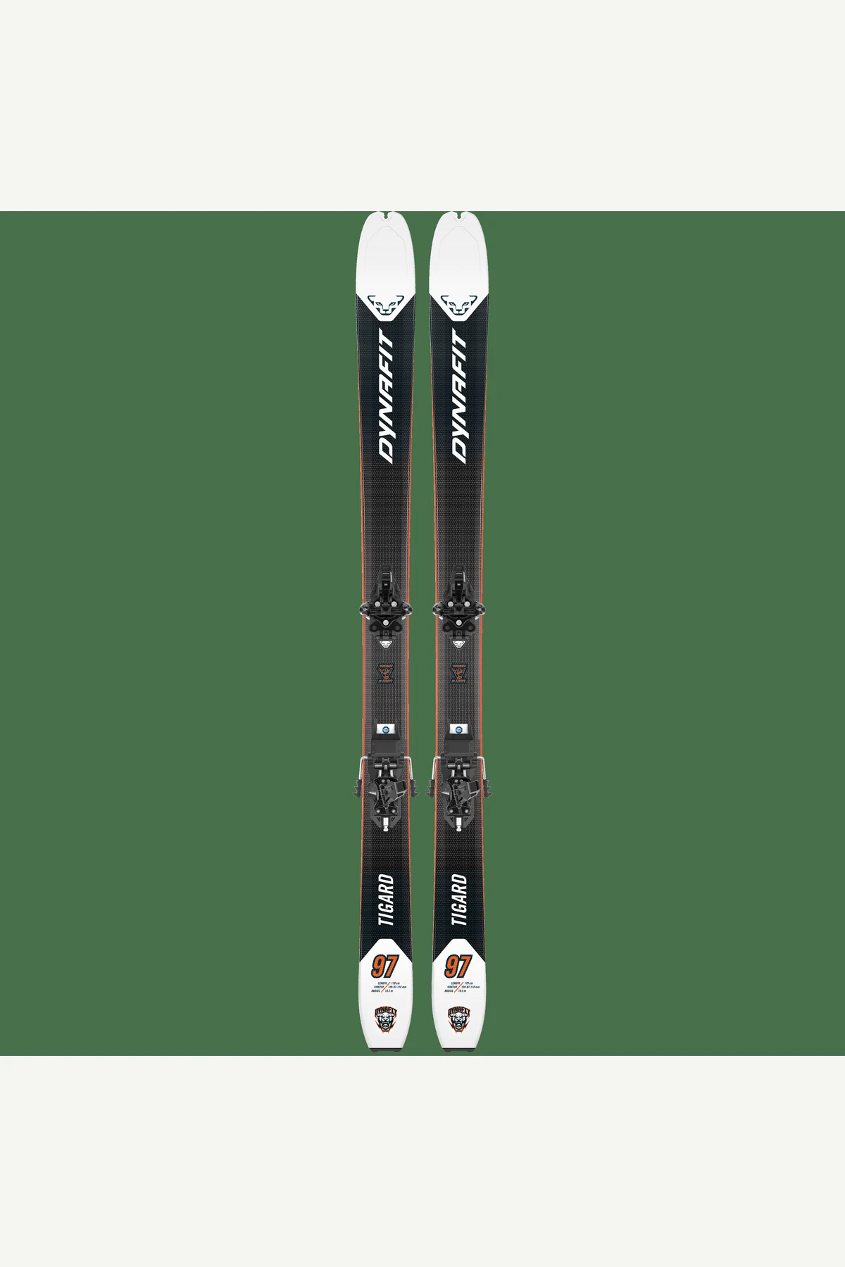 Dynafit Tigard 97 Ski 25/26公式商品画像